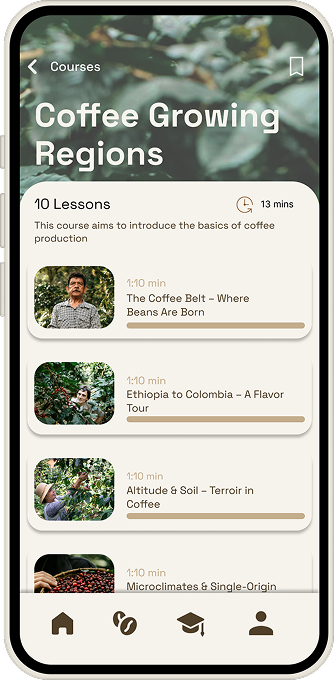 Wholebean screen 8